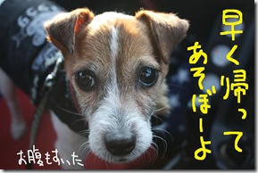 今日カズ０９０３１２　１０