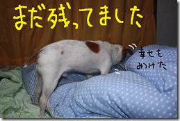 今日カズ０９０３１３　６