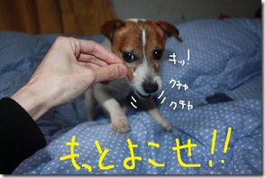 今日カズ０９０３１４　６