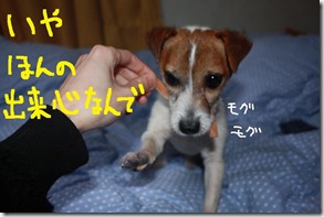 今日カズ０９０３１４　７