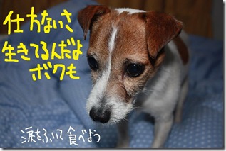 今日カズ０９０３１４　８