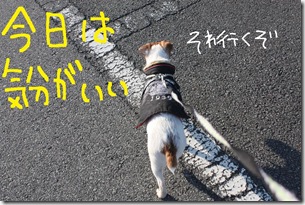今日カズ０９０３１５　１