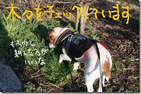 今日カズ０９０３１５　３