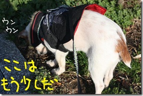今日カズ０９０３１５　４