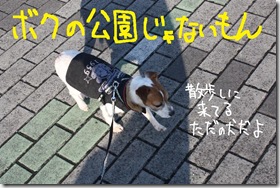 今日カズ０９０３１５　６