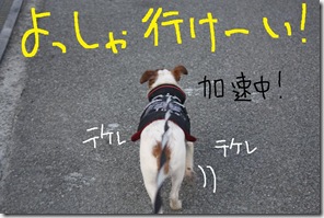 今日カズ０９０３１５　８
