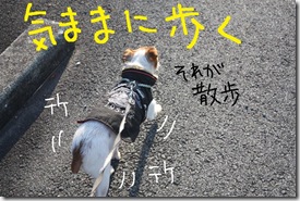 今日カズ０９０３１５　９