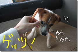 今日カズ０９０３１６　１