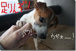 今日カズ０９０３１６　２