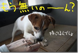 今日カズ０９０３１６　３