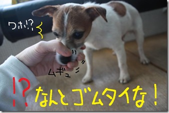 今日カズ０９０３１６　４