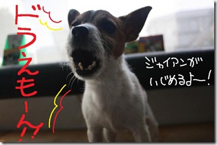今日カズ０９０３１６　６