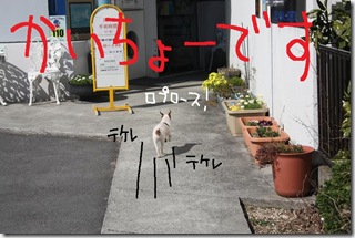 今日カズ０９０３１７　１