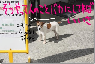 今日カズ０９０３１７　２