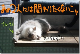 今日カズ０９０３１７　３