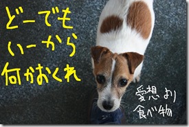 今日カズ０９０３１７　４