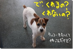 今日カズ０９０３１７　５