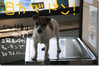 今日カズ０９０３１７　６