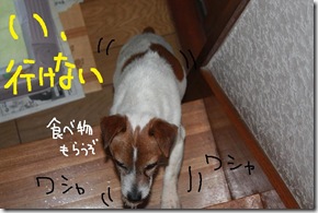 今日カズ０９０３１８　２