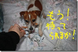 今日カズ０９０３１８　５