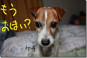 今日カズ０９０３１８　９