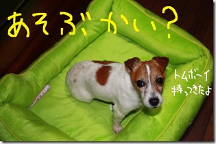 今日カズ０９０３１９　４