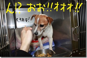 今日カズ０９０３２０　６