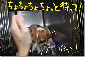 今日カズ０９０３２０　７
