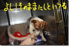 今日カズ０９０３２０　８