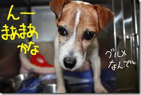 今日カズ０９０３２０　９