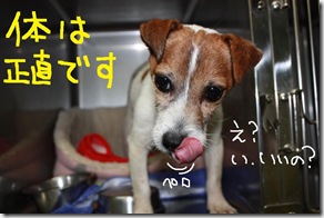今日カズ０９０３２０　１０