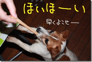 今日カズ０９０３２１　２
