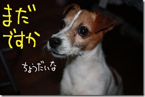 今日カズ０９０３２１　３
