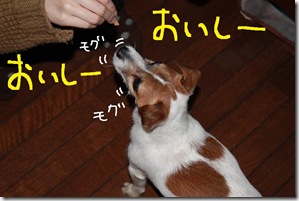今日カズ０９０３２１　４