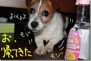 今日カズ０９０３２３　１