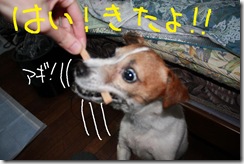 今日カズ０９０３２３　３