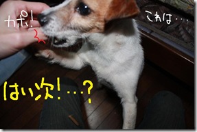今日カズ０９０３２３　６