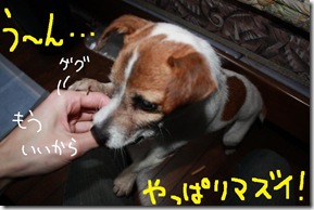 今日カズ０９０３２３　７