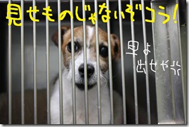 今日カズ０９０３２３　２