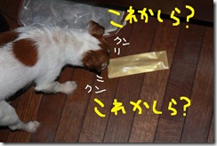 今日カズ０９０３２３　３