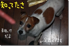 今日カズ０９０３２３　４