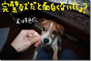 今日カズ０９０３２３　５