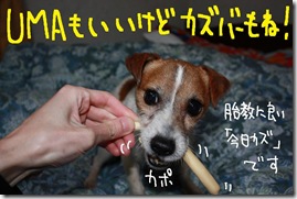 今日カズ０９０３２４　８