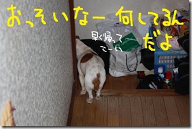 今日カズ０９０３２４　９