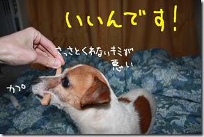 今日カズ０９０３２６　４