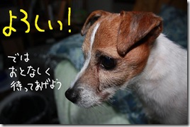 今日カズ０９０３２６　５