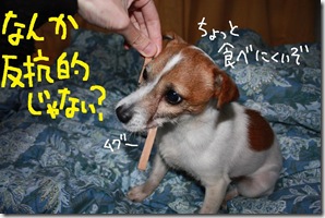 今日カズ０９０３２６　６