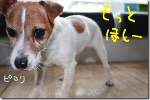 今日カズ０９０３２７　４