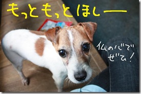 今日カズ０９０３２７　６