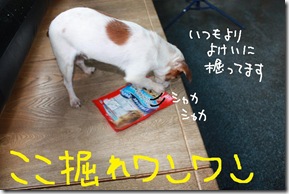 今日カズ０９０３２７　７